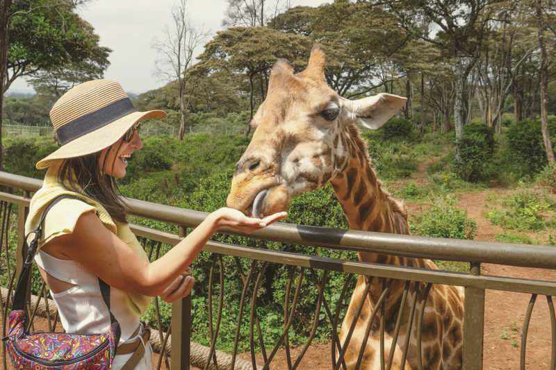 The Giraffe Centre in Nairobi