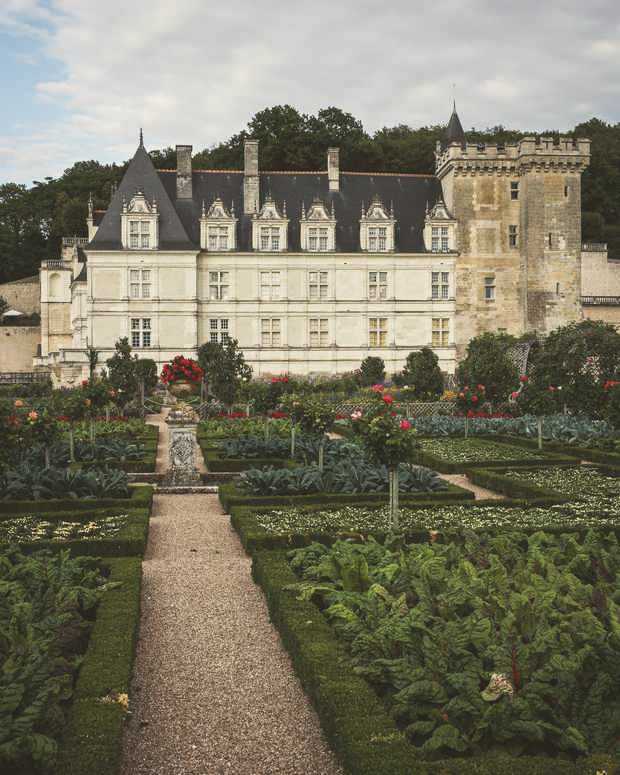 The gardens at Villandry